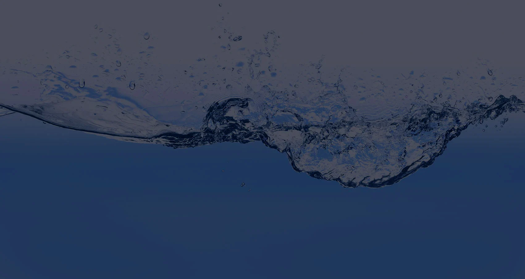 home-page-banner2